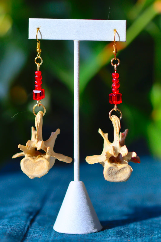 Genuine Animal Vertebrae Beaded Earrings